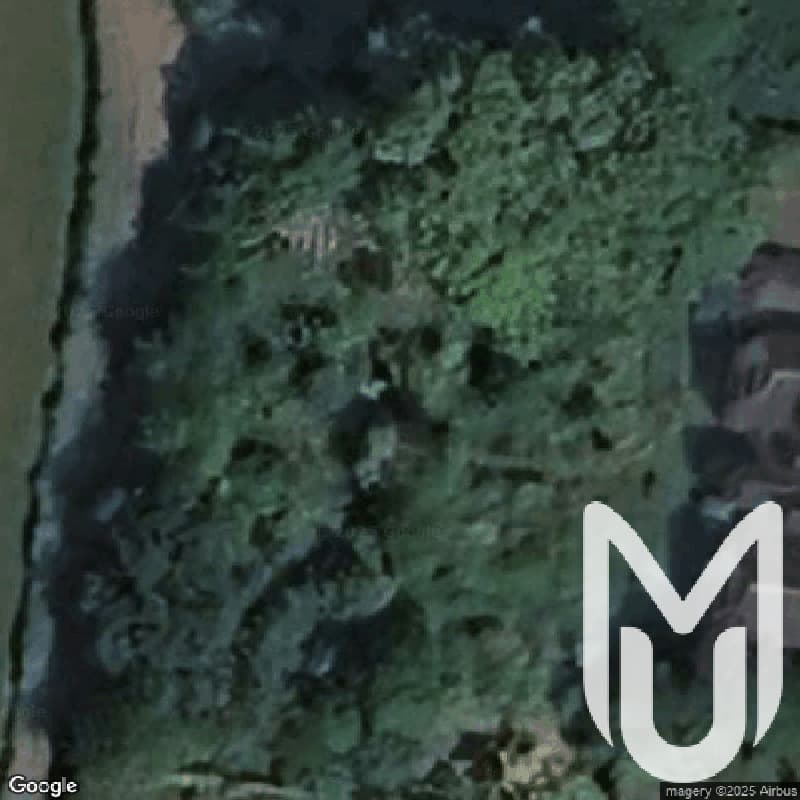 Red Dress Manor
