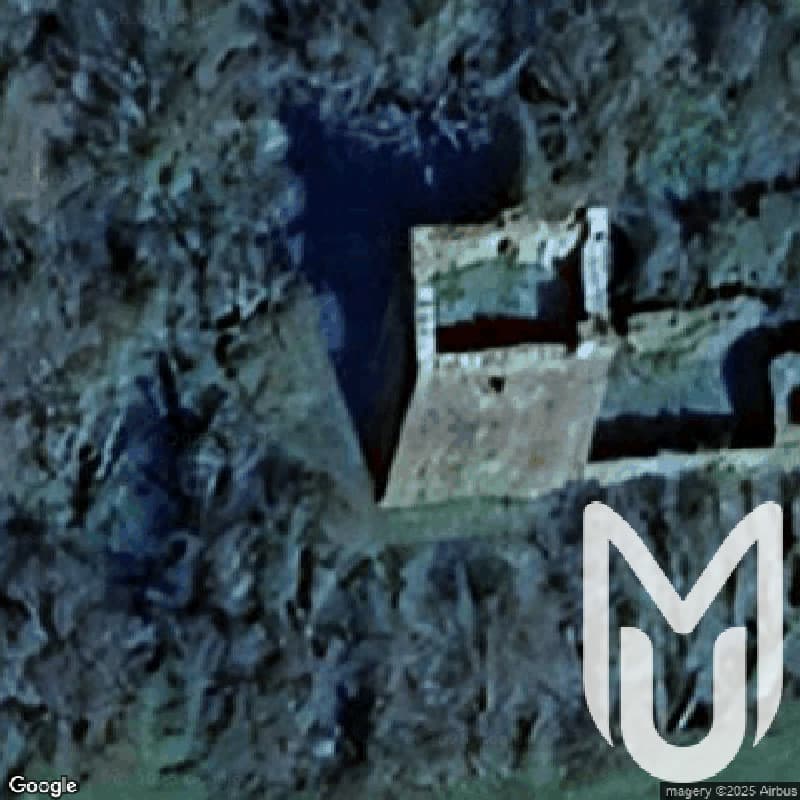 The Overgrown Ruine