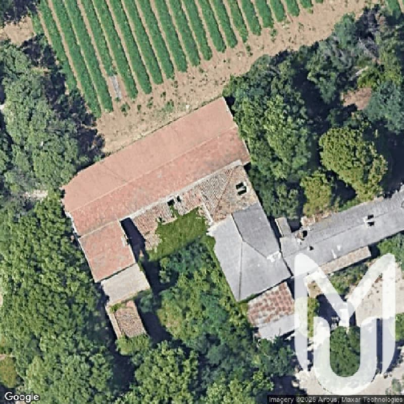 Snakes Mansion