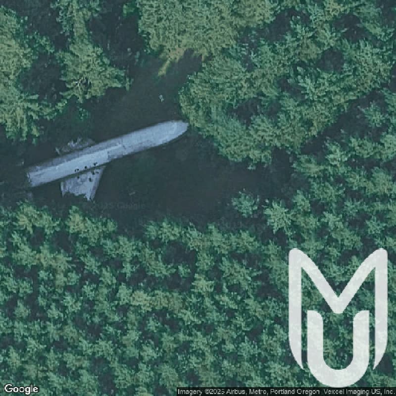 Airplane in the Woods