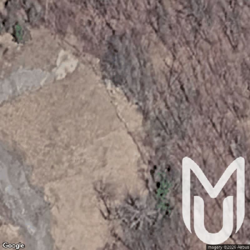 Beech Hill Mansion