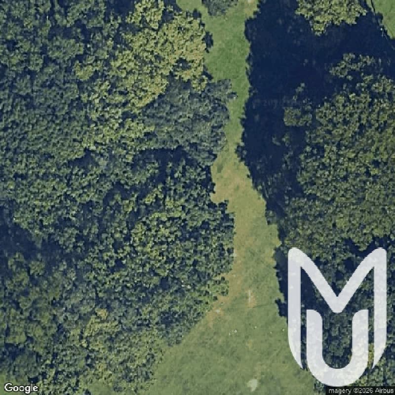 Maplewood Deep Drains