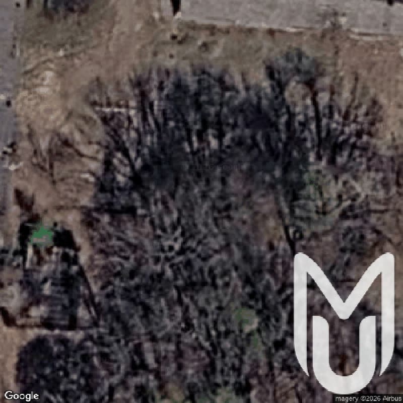 Site Abandoned State Owned Farm