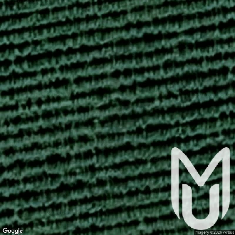 New Tomysl Website