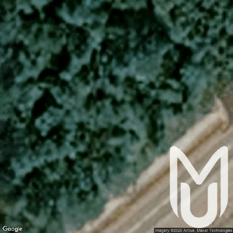Prosienica Site