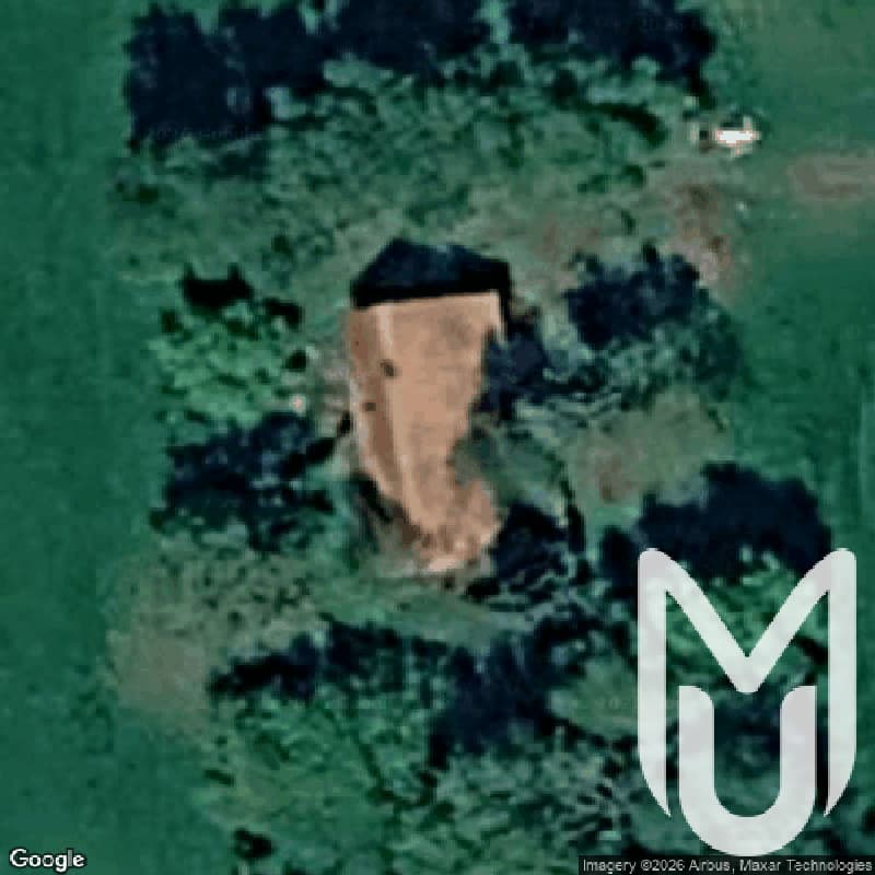 House Green Forest