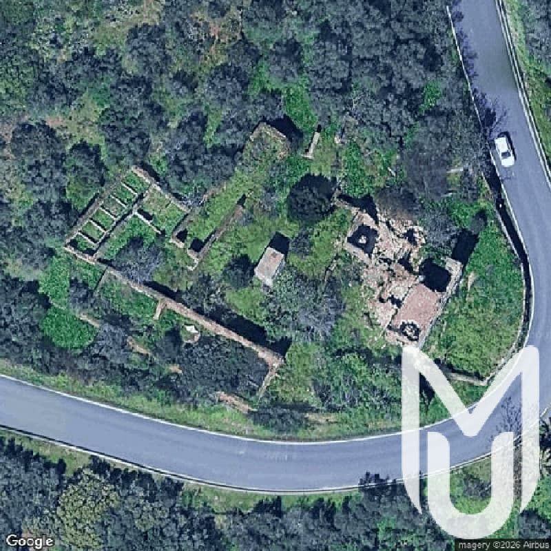 This House Is Called Magic That