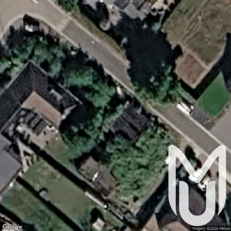 Ds House