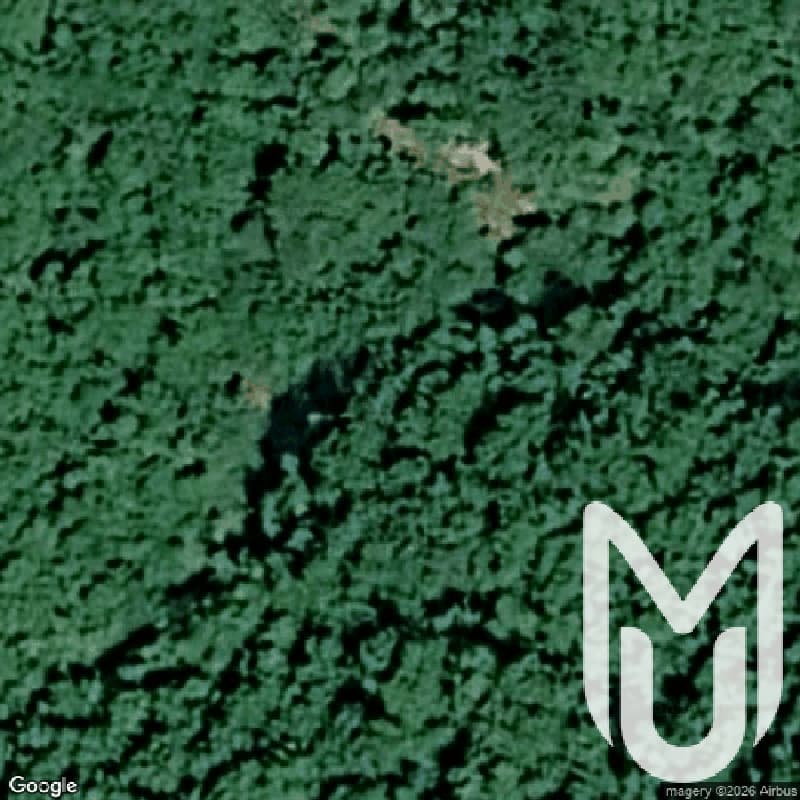 Village