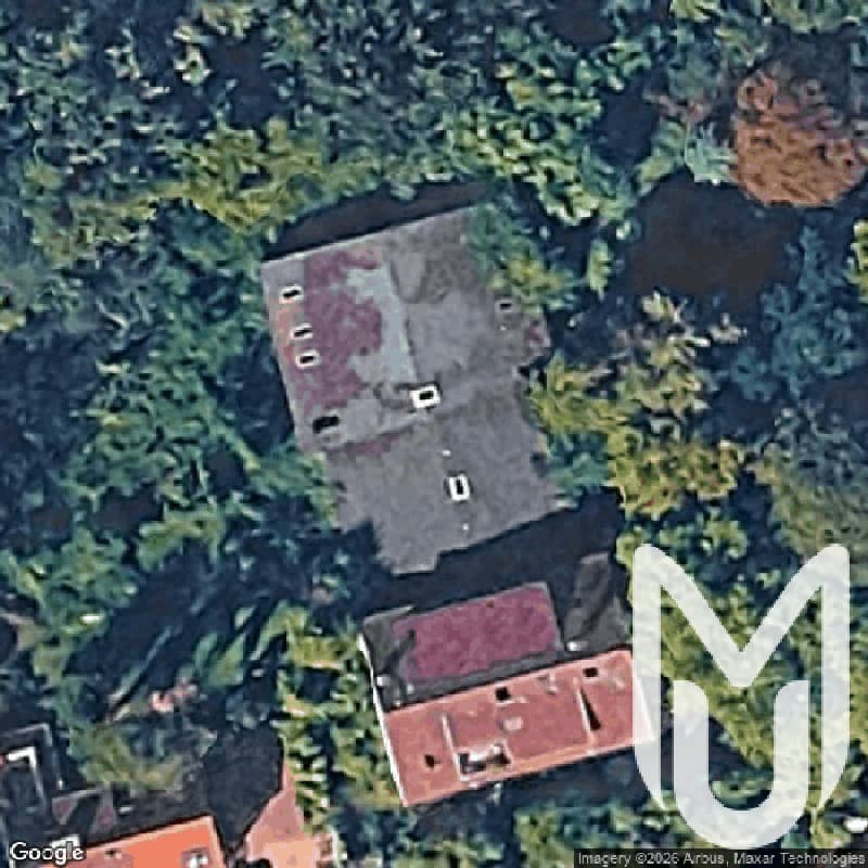 House Liege Lawn