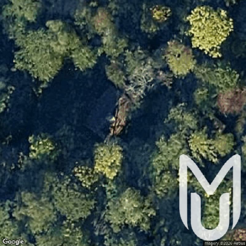House Ditch