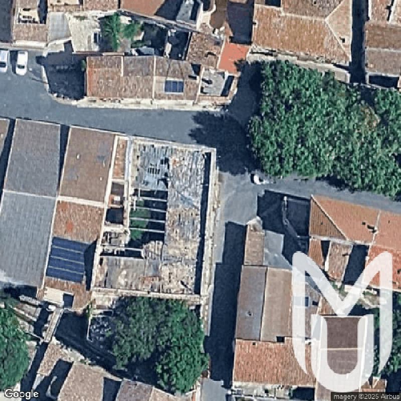 Maison Champignon