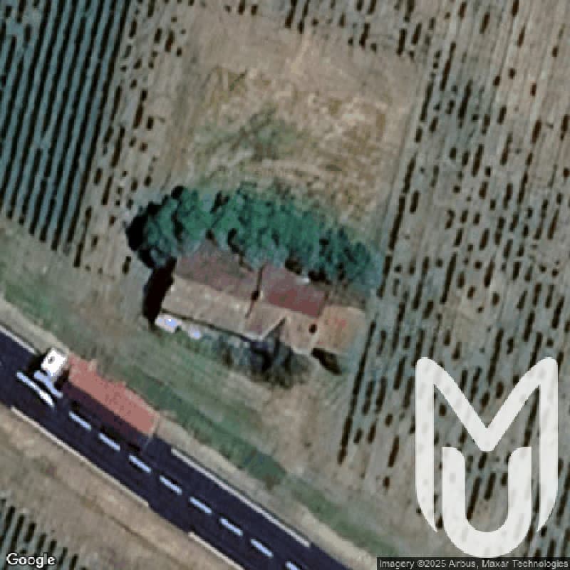 Maison Vignes