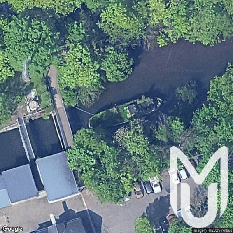 Jungle Boat