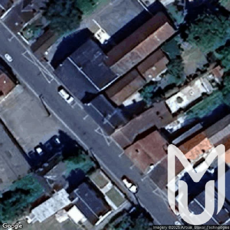 Maison mur de vert