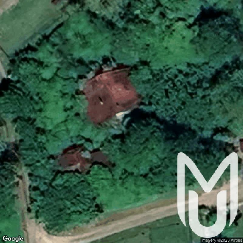 Jungle And Liana Houses