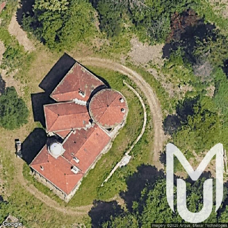 Château Grenouille
