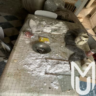User photo of Maison Spiderweb abandoned location for urban exploration