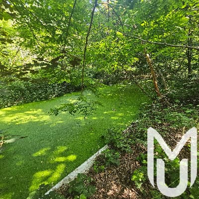 User photo of Maison Boardgame abandoned location for urban exploration