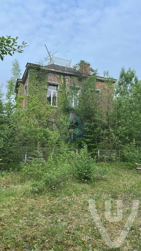 Chateau Emile