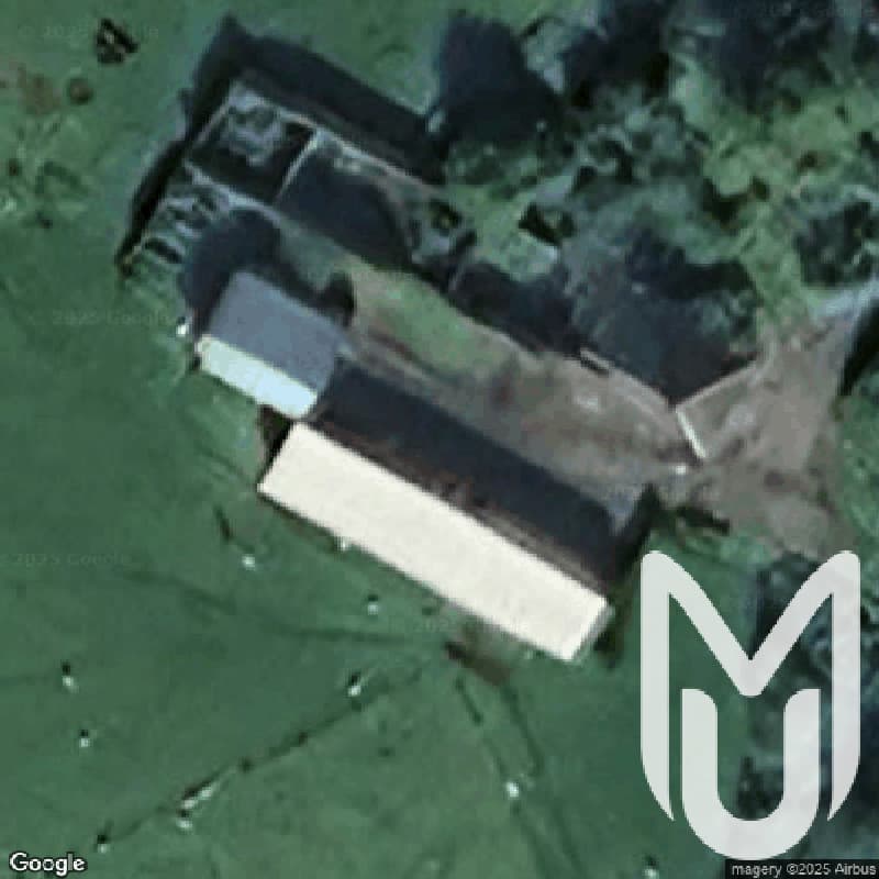Skin Farm