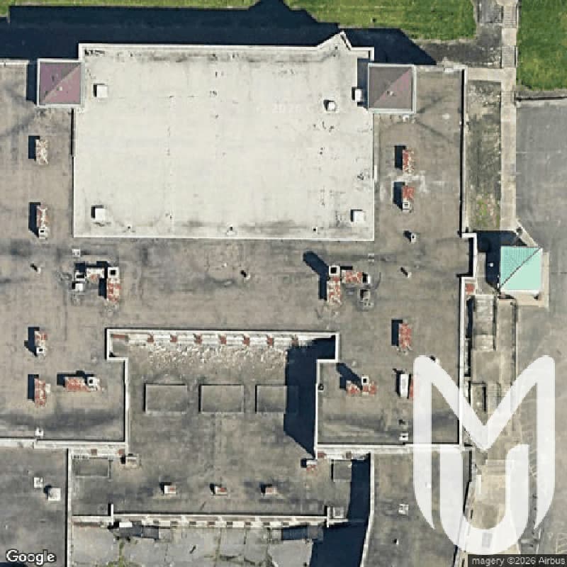 Elementary School
