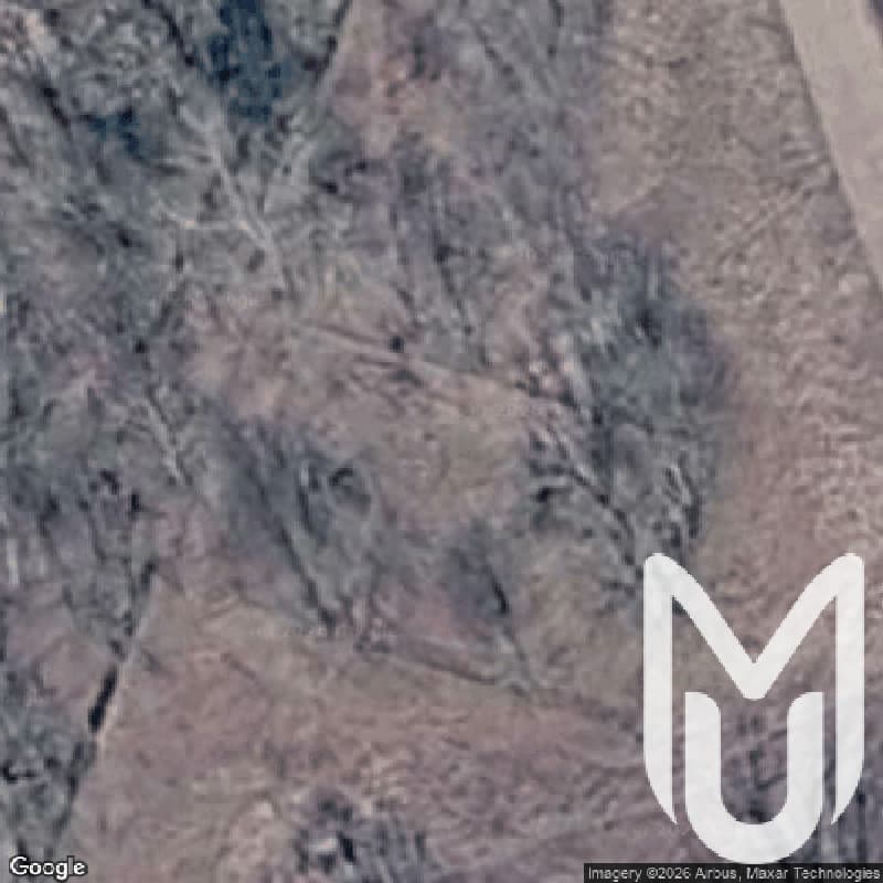 Manor