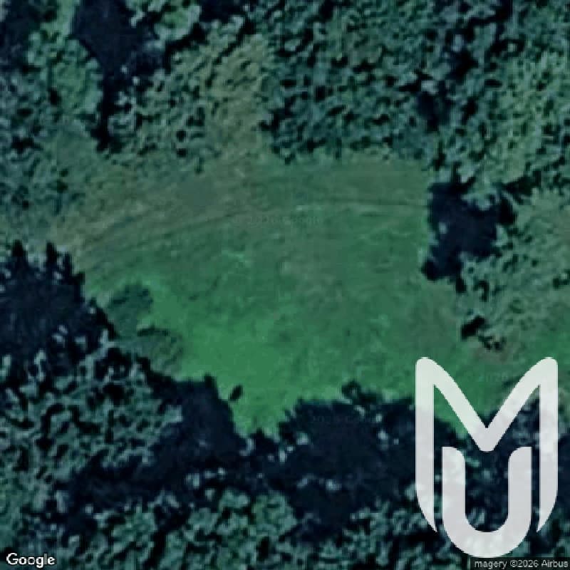 Palace Mordy