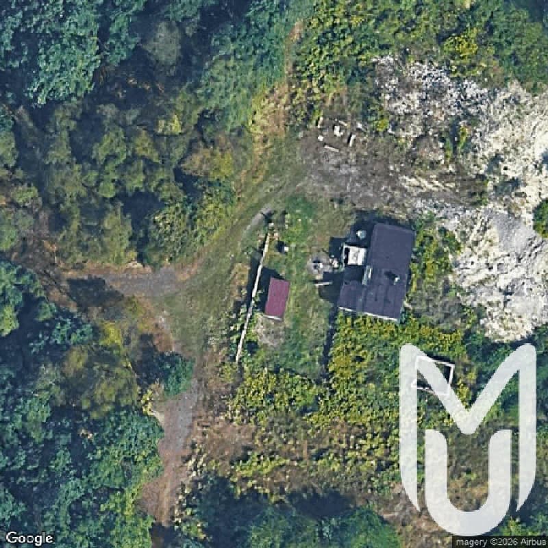 Site Cottage In The Woods With Graffiti