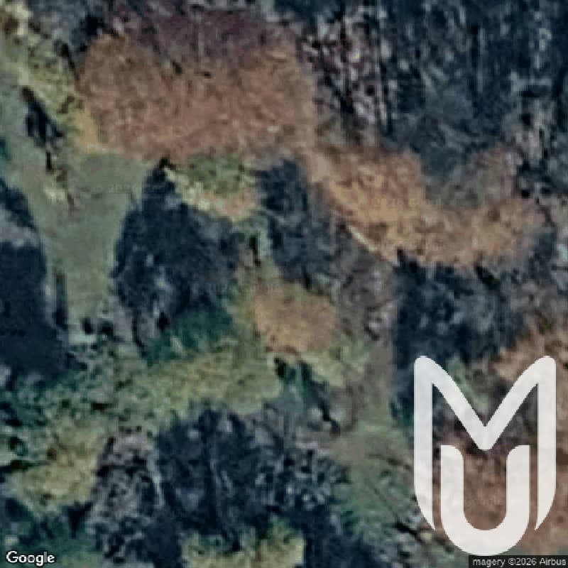 P Show Site