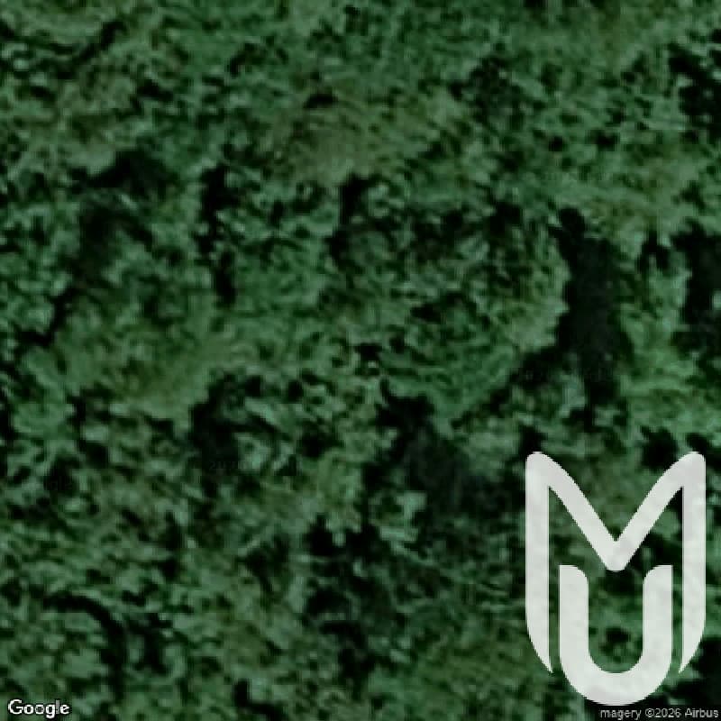 Lady Park Wood Iron Mines