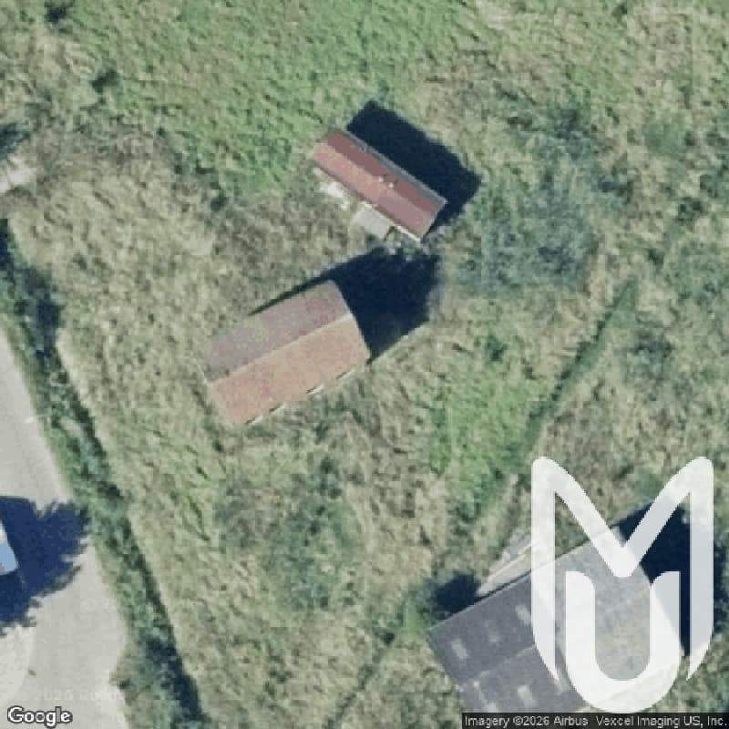 Forgotten House