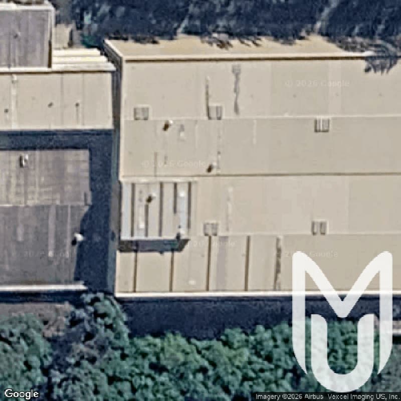 Nestle Factory
