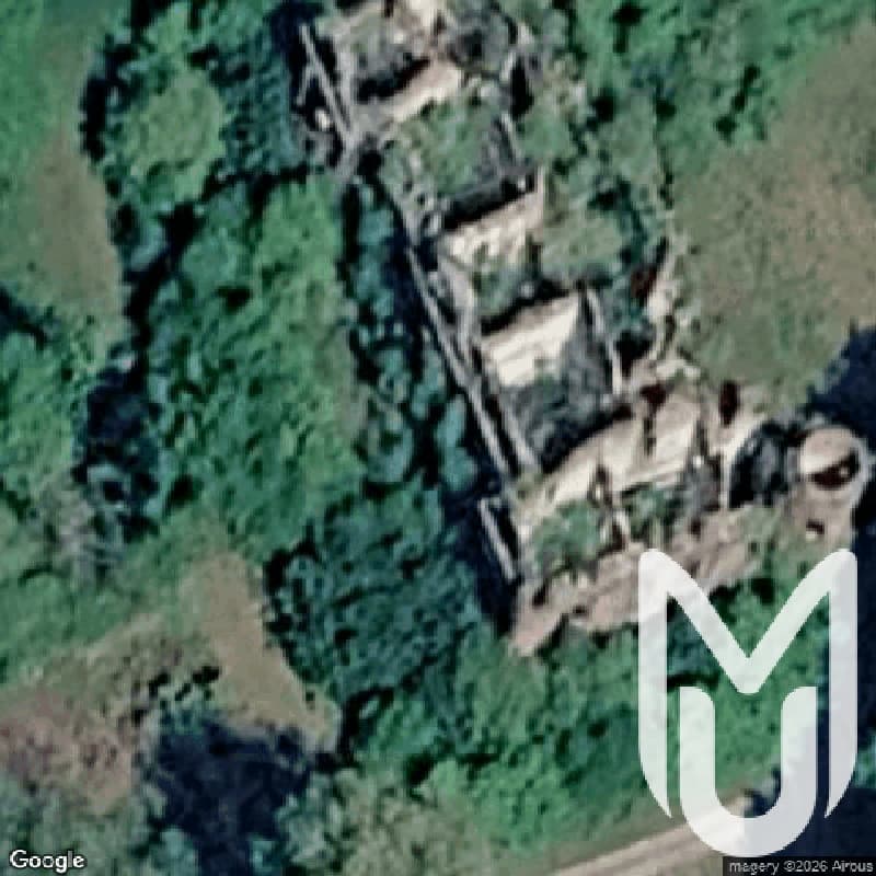 Castle In The Forest