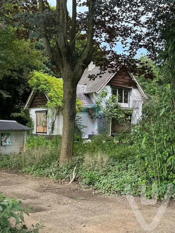Maison Roses Camp