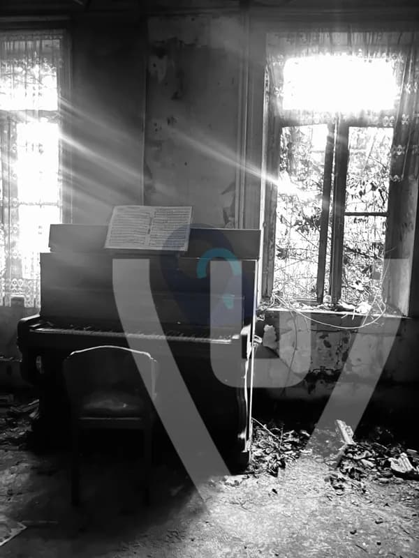 Maison du depressif