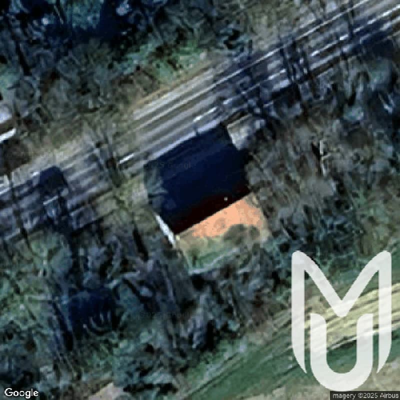 Maison Dog