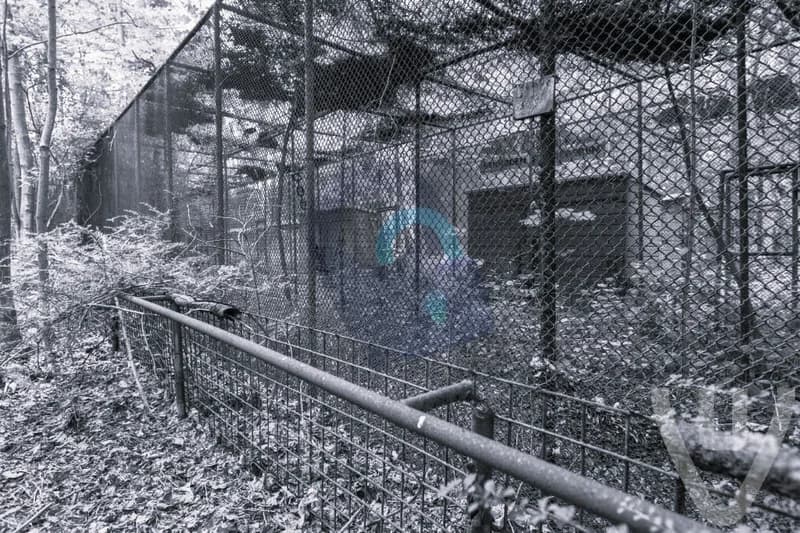 Ghost Zoo 2