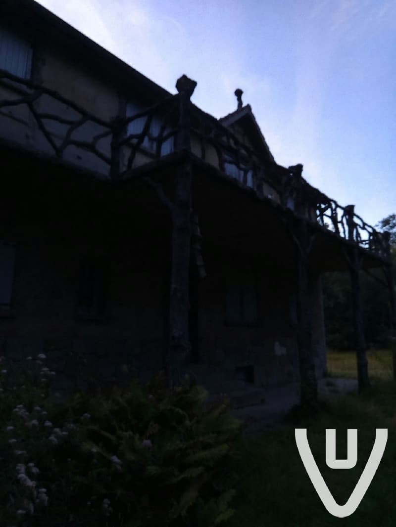 Forest House