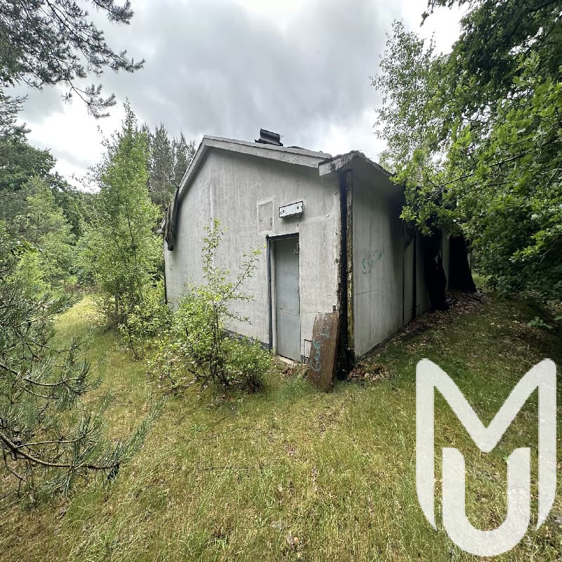 Forest House VW