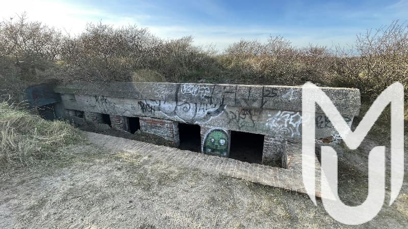 The Bunker Collection