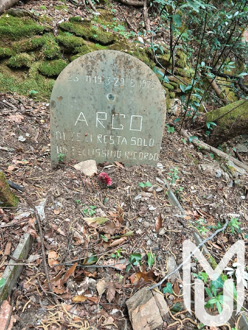 Animal Cemetery
