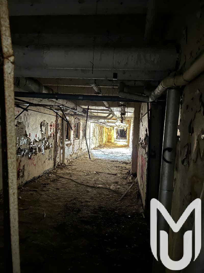 Overgrown Hospital