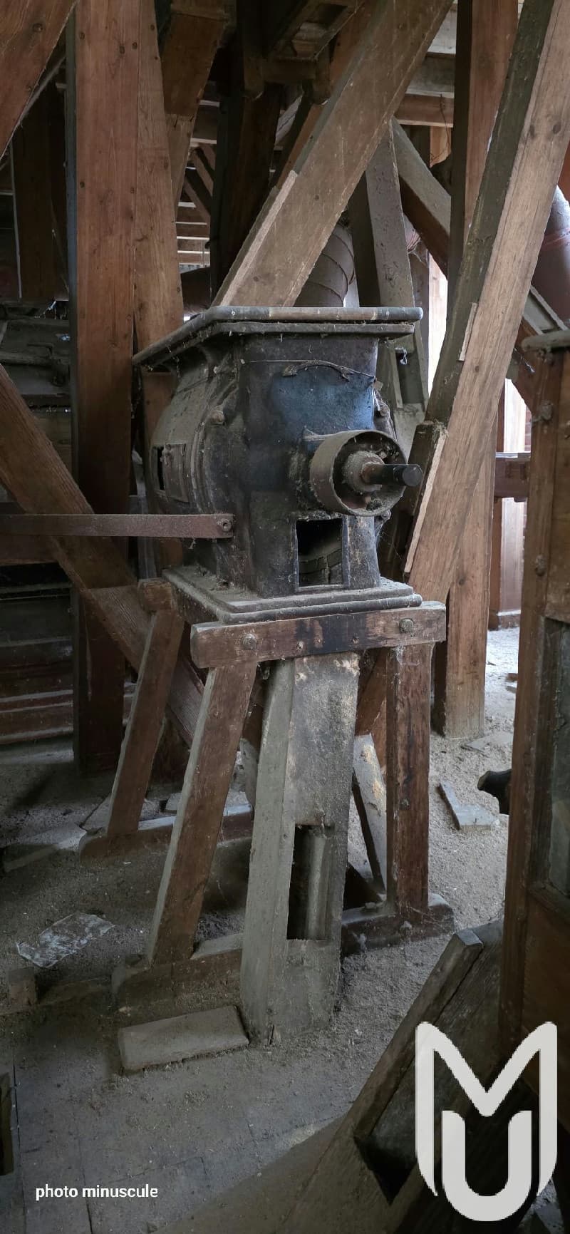 Usine Xyloborus