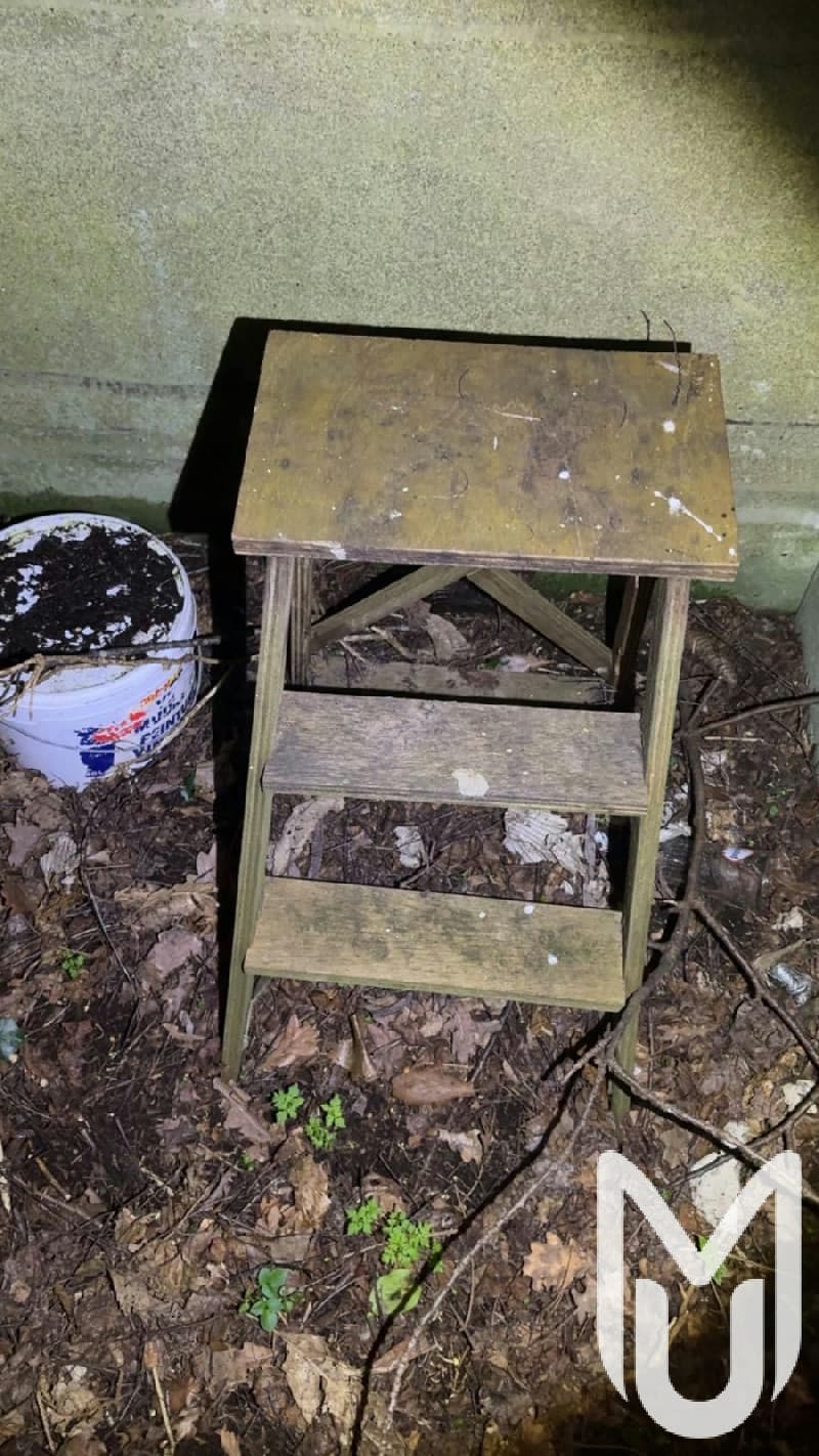 Bird House